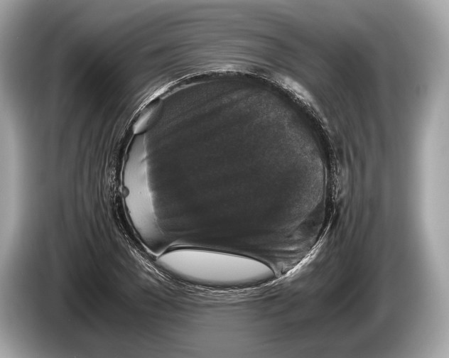 X0000085070977200703191258