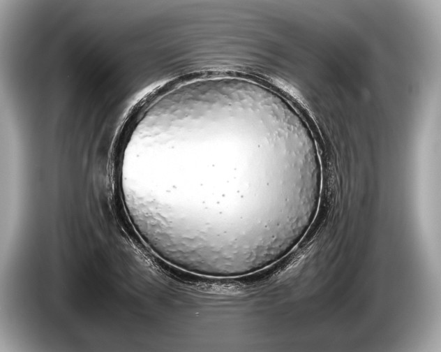 X0000085070979200703191258