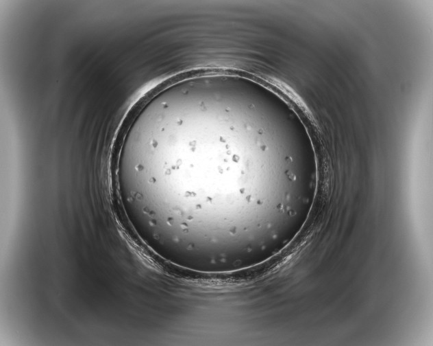 X0000085070980200703191258