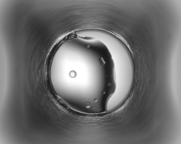 X0000085070981200703191258