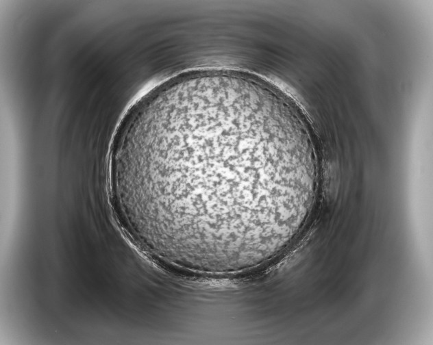 X0000085070982200703191258