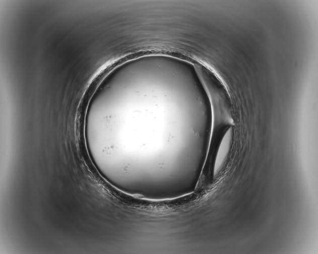 X0000085070983200703191258