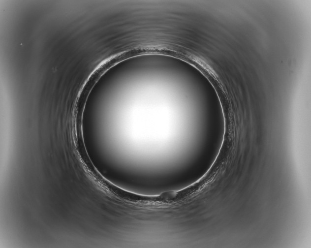 X0000085070984200703191257