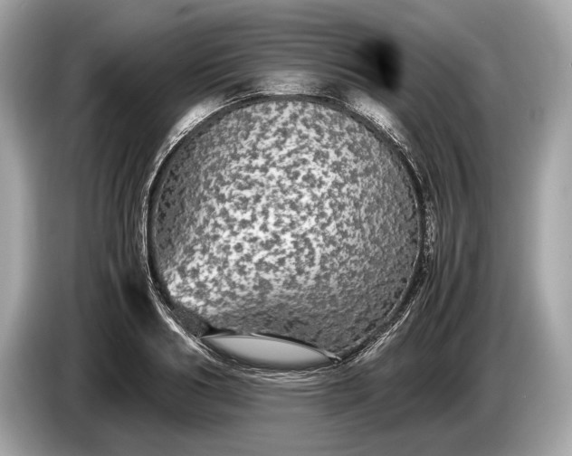 X0000085070986200703191257