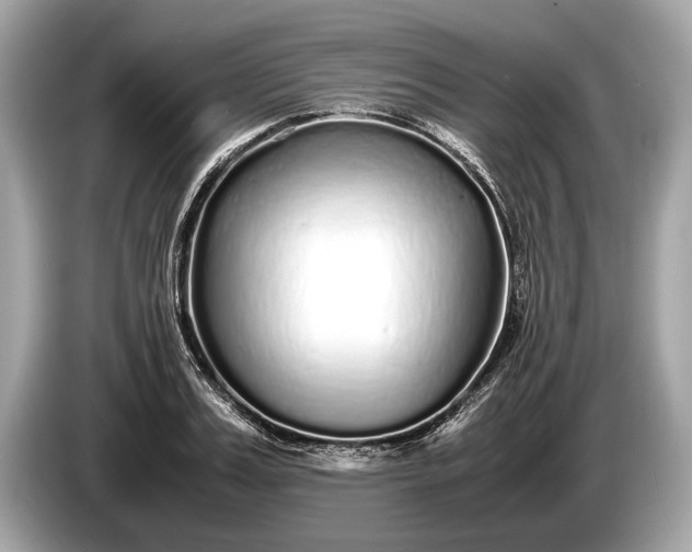 X0000085070987200703191257