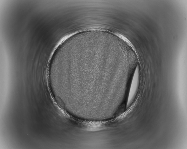 X0000085070989200703191257