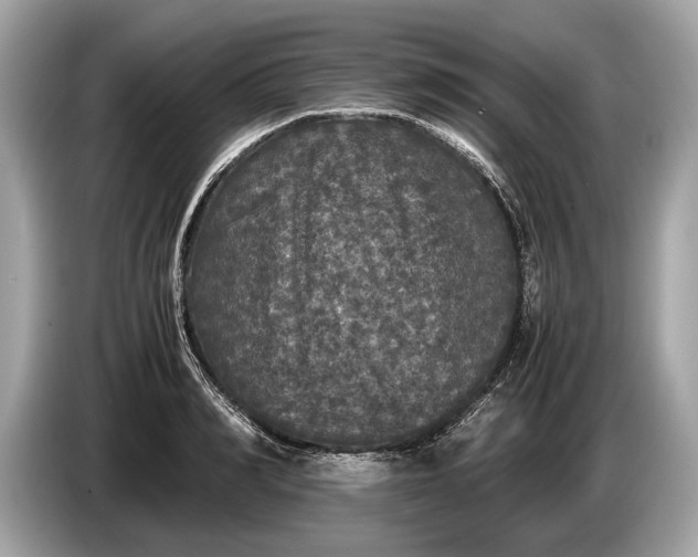 X0000085070990200703191257