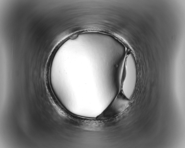 X0000085070991200703191257