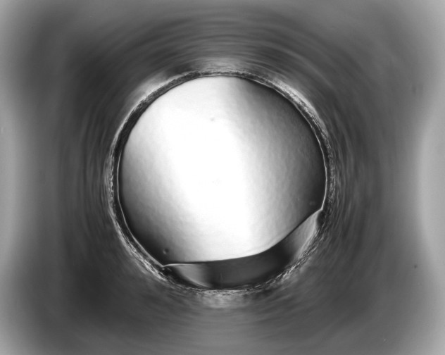 X0000085070992200703191257