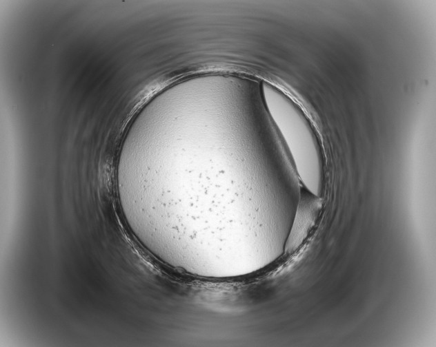 X0000085070993200703191257