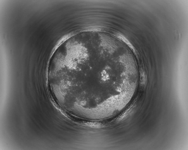 X0000085070994200703191257