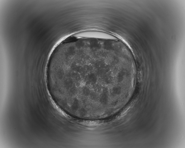 X0000085070995200703191257