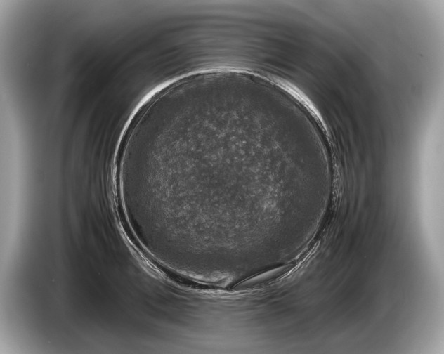 X0000085070996200703191257