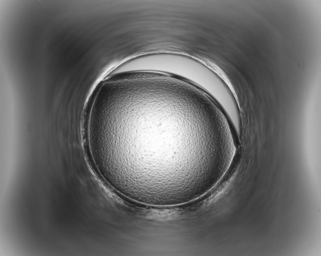 X0000085070997200703191257