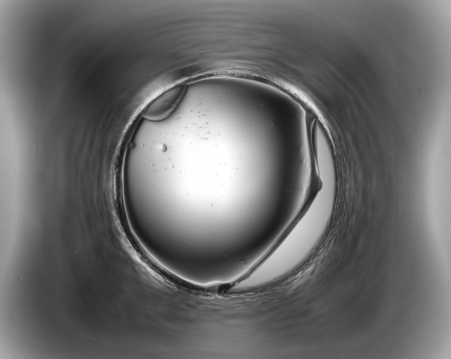 X0000085070999200703191257