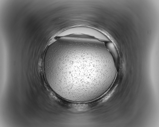 X0000085071001200703191257