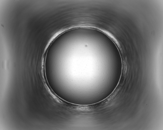 X0000085071006200703191257