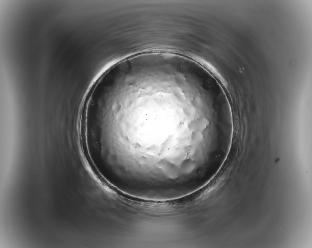 X0000085071007200703191257