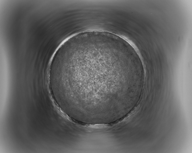 X0000085071008200703191257