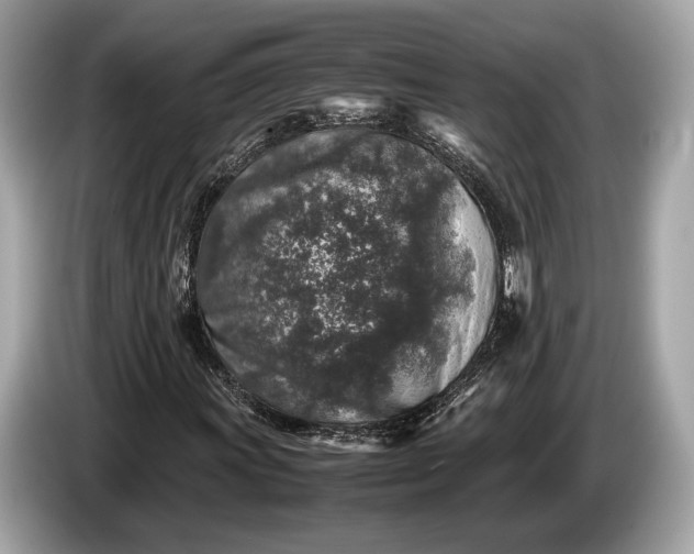 X0000085071011200703191256