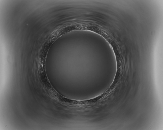 X0000085071013200703191257