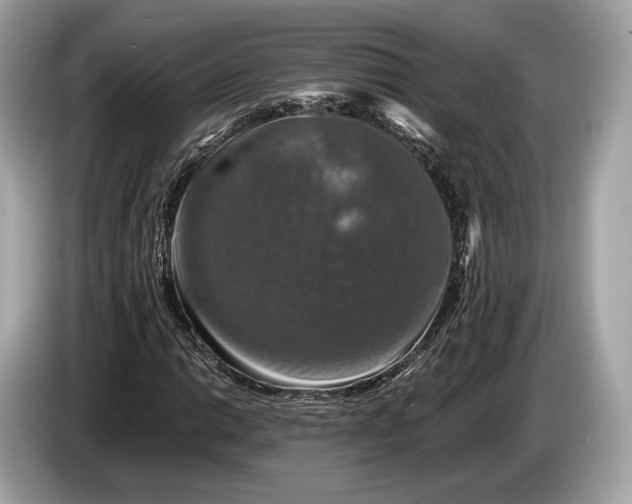 X0000085071014200703191257