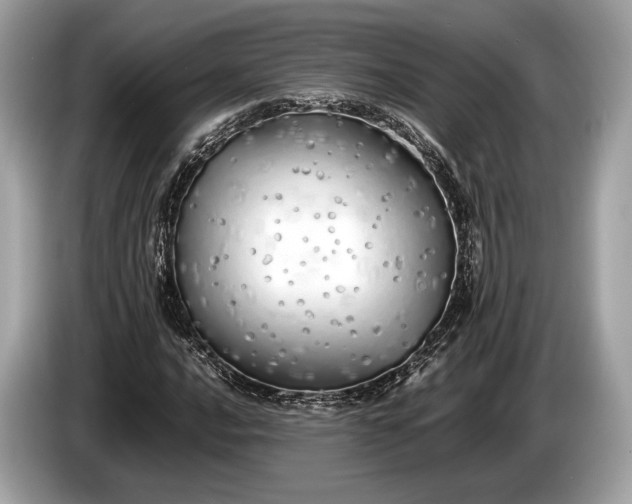 X0000085071016200703191257