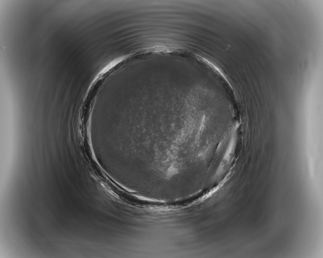 X0000085071018200703191257