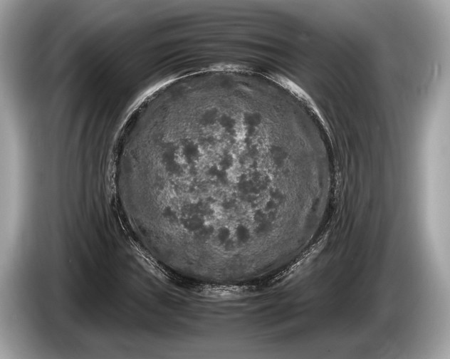 X0000085071019200703191257