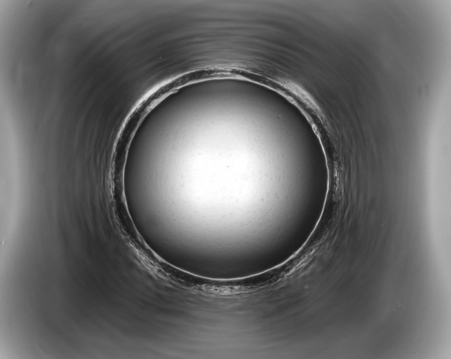 X0000085071020200703191257