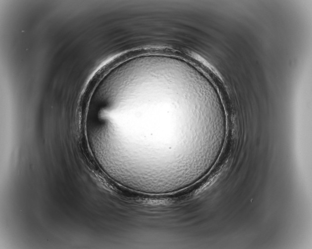 X0000085071021200703191257