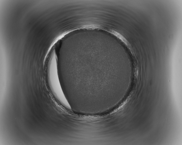 X0000085071022200703191257