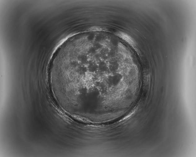 X0000085071023200703191257