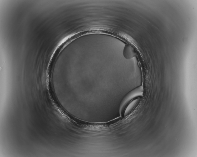 X0000085071024200703191257