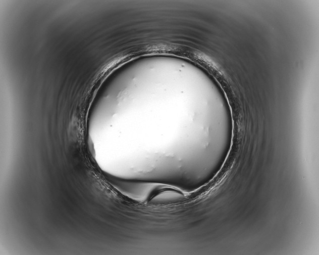 X0000085071025200703191257