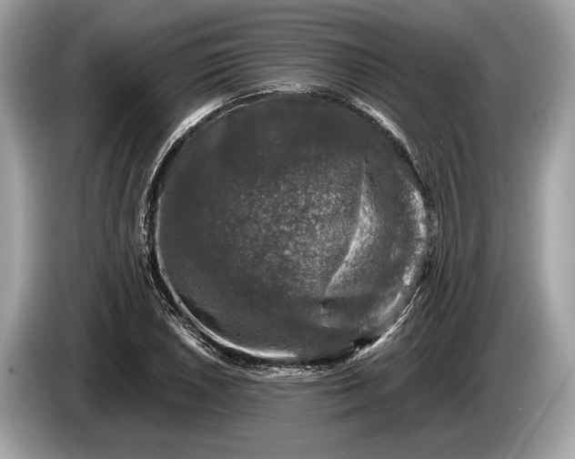 X0000085071026200703191257