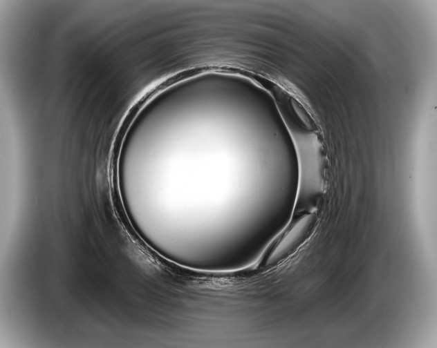 X0000085071028200703191257