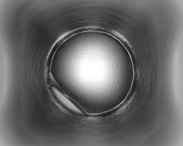 X0000085071029200703191257