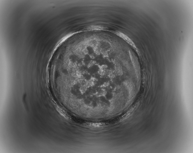 X0000085071031200703191257