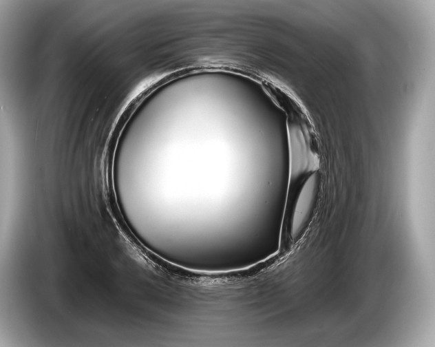 X0000085071032200703191257