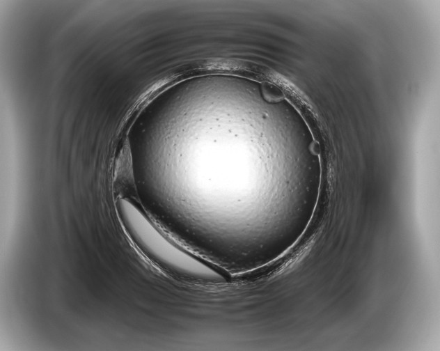 X0000085071033200703191257