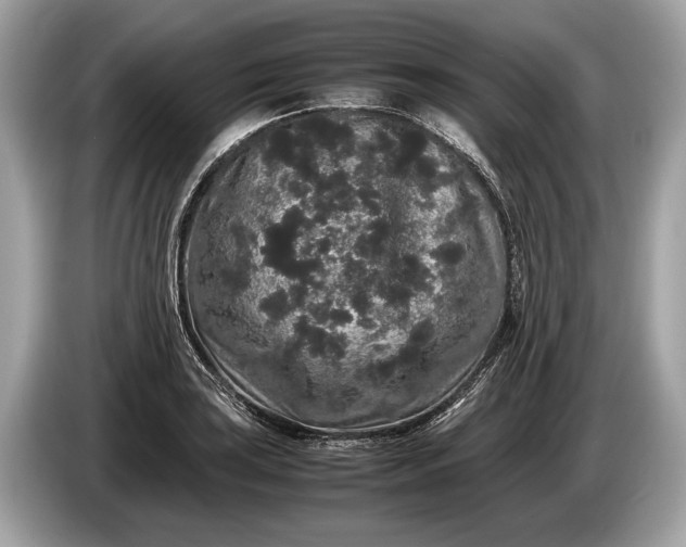 X0000085071035200703191257