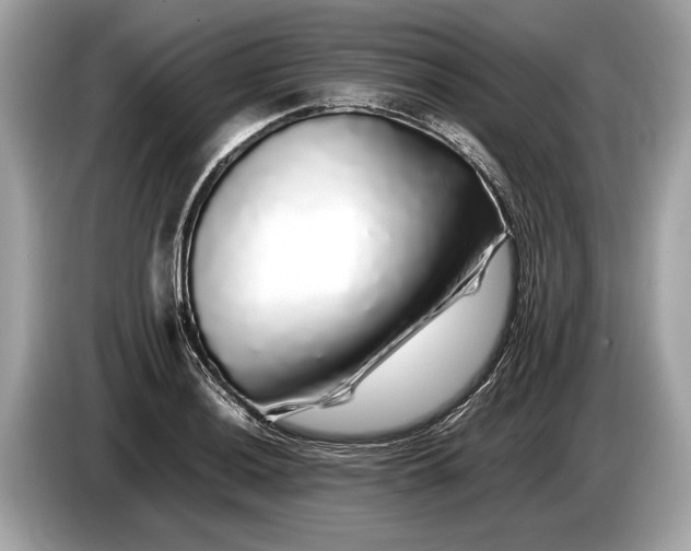 X0000085071036200703191257