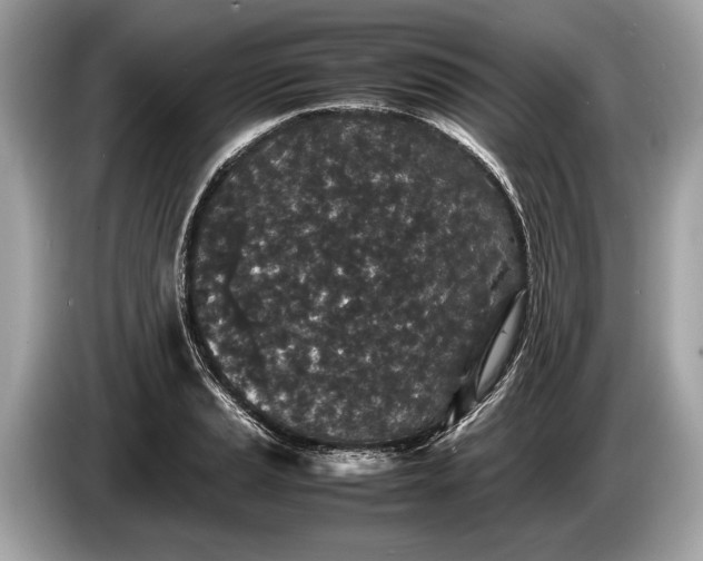 X0000085071037200703191257