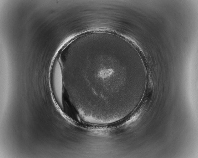 X0000085071038200703191257