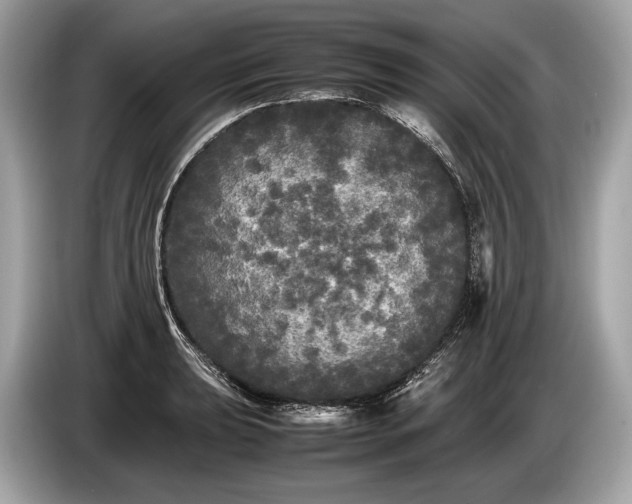 X0000085071039200703191257