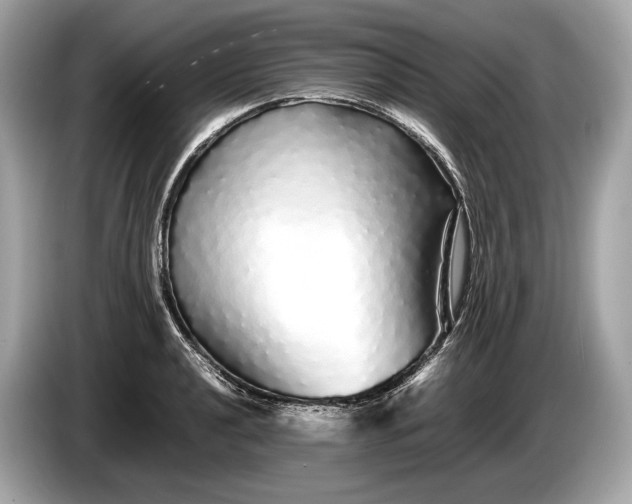 X0000085071040200703191257