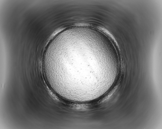 X0000085071041200703191257