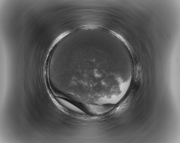 X0000085071042200703191257