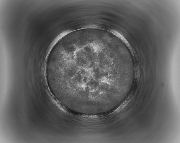 X0000085071043200703191257